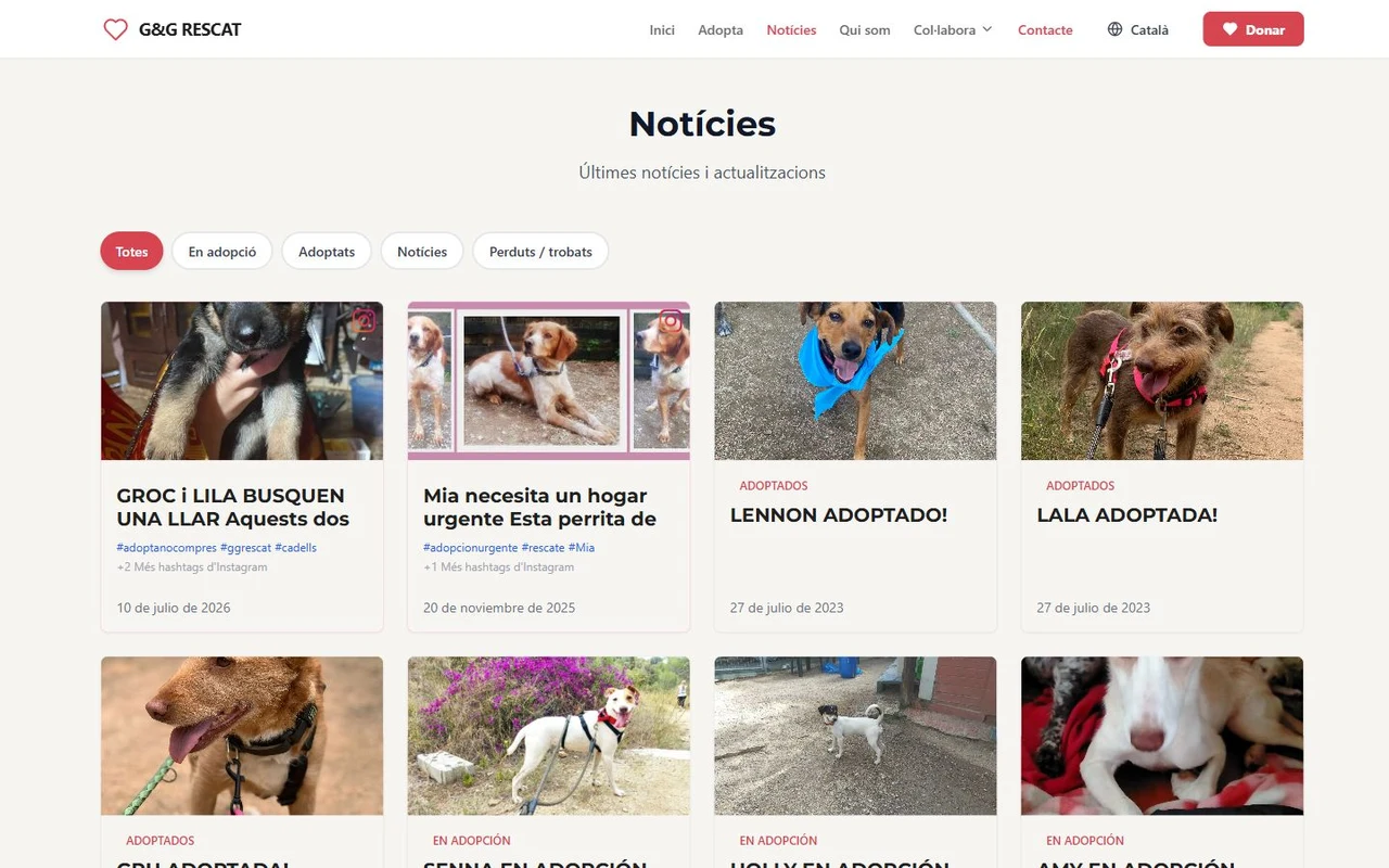 La web de G&G Rescat en escritorio y en móvil: el listado de noticias con las fichas de los animales en adopción.